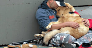 15 foto che dimostrano che non esiste amore come quello di un uomo e del suo cane