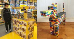 12 creazioni LEGO, che hanno sorpreso gli utenti del Web, realizzate da un adolescente non vedente