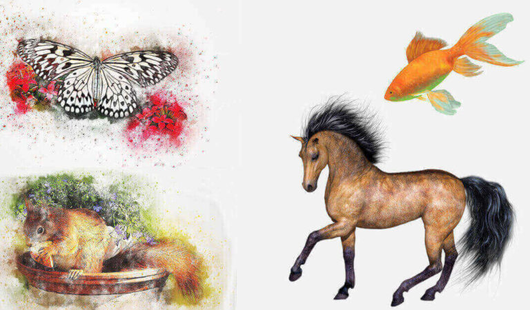 TEST: Quale animale scegli? La risposta ti svela cosa ti disturba di più TEST: Quale animale scegli? La risposta ti svela cosa ti disturba di più