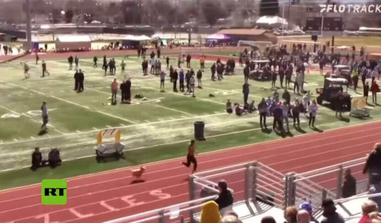Un cane si intrufola in una gara di atletica leggera in America (e taglia per primo il traguardo) Un cane si intrufola in una gara di atletica leggera in America (e taglia per primo il traguardo)