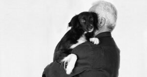 Uno studio ha scoperto che perdere un cane può essere difficile quanto perdere una persona amata