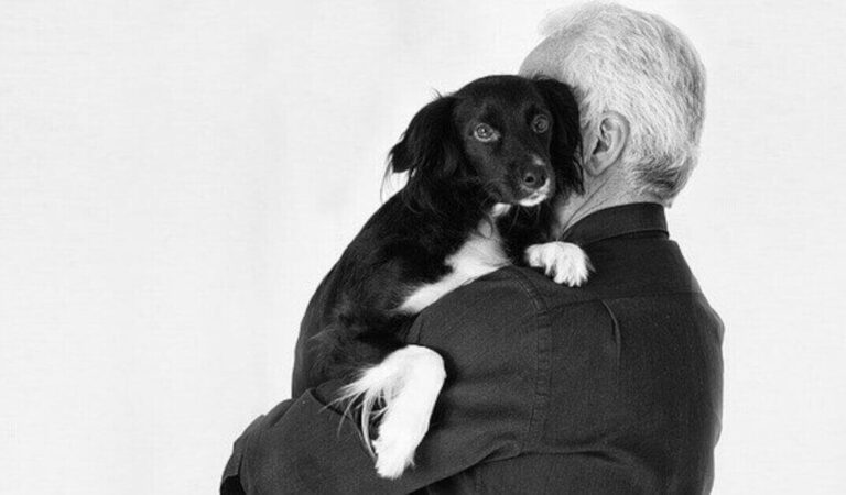 Uno studio ha scoperto che perdere un cane può essere difficile quanto perdere una persona amata Uno studio ha scoperto che perdere un cane può essere difficile quanto perdere una persona amata