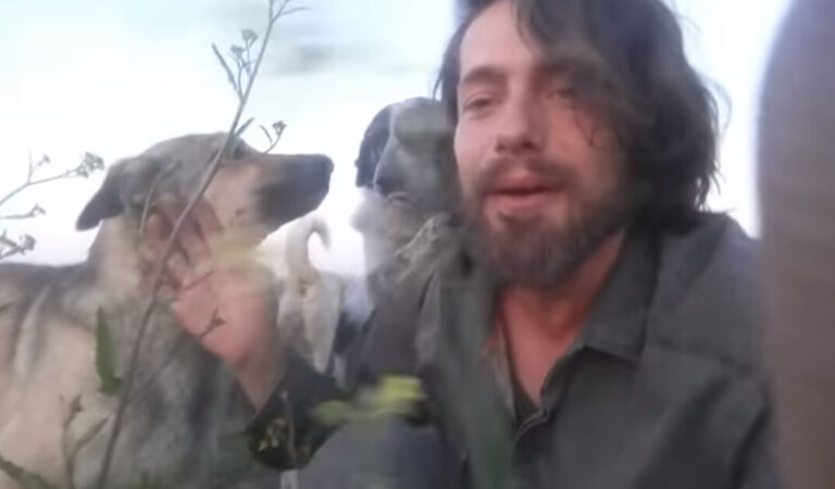 Il modello lascia la sua fama per aiutare gli animali abbandonati Il modello lascia la sua fama per aiutare gli animali abbandonati