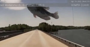 La telecamera dell’auto riprende un pesce che sembra cadere dal cielo, ma la realtà è diversa