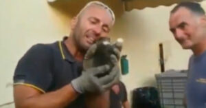 Un pompiere salva un gattino e scoppia in lacrime per l’emozione