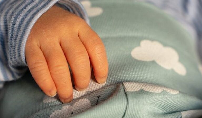 Parto da record: donna del Mali dà alla luce 9 bambini, pensava di portarne in grembo 7, ma poi la sorpresa. Parto da record: donna del Mali dà alla luce 9 bambini, pensava di portarne in grembo 7, ma poi la sorpresa.