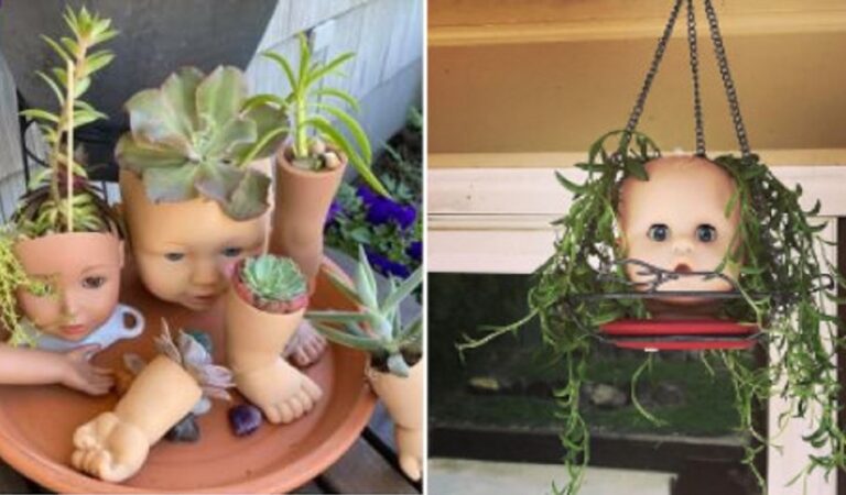 Il trend di trasformare la testa delle bambole in fioriere: 10 foto condivise su Instagram Il trend di trasformare la testa delle bambole in fioriere: 10 foto condivise su Instagram