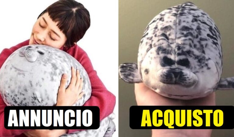 Incredibili fregature: 15 acquisti online che non avevano nulla a che fare con gli annunci Incredibili fregature: 15 acquisti online che non avevano nulla a che fare con gli annunci