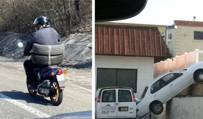 15 foto di automobilisti che sarebbe meglio non incontrare mai sulla propria via 15 foto di automobilisti che sarebbe meglio non incontrare mai sulla propria via