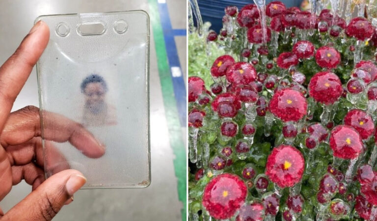 14 foto bizzarre che sembrano rispondere alle domande di alcuni utenti sul “cosa succede se…” 14 foto bizzarre che sembrano rispondere alle domande di alcuni utenti sul “cosa succede se…”