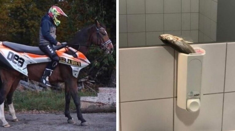 15 foto che fanno sorgere un’unica domanda “Perché?!?” 15 foto che fanno sorgere un’unica domanda “Perché?!?”
