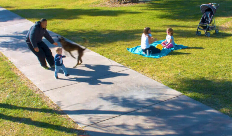 L’uomo inizia a correre verso il bambino e il cane entra in azione per proteggerlo L’uomo inizia a correre verso il bambino e il cane entra in azione per proteggerlo