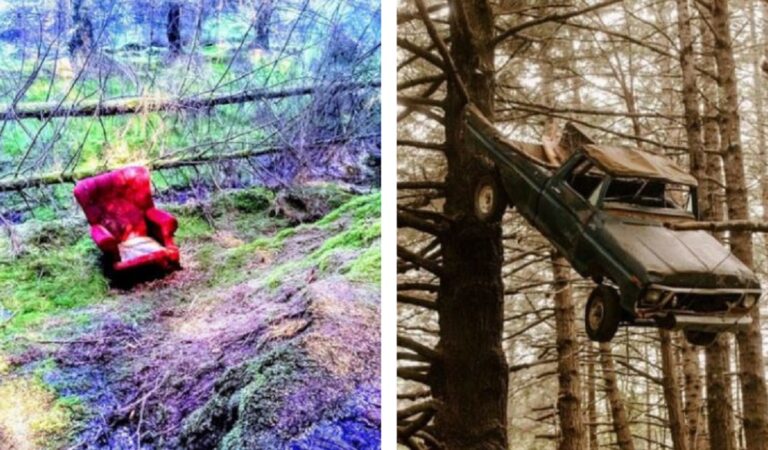 18 ritrovamenti inaspettati e inquietanti condivisi sui social dopo una passeggiata nel bosco 18 ritrovamenti inaspettati e inquietanti condivisi sui social dopo una passeggiata nel bosco