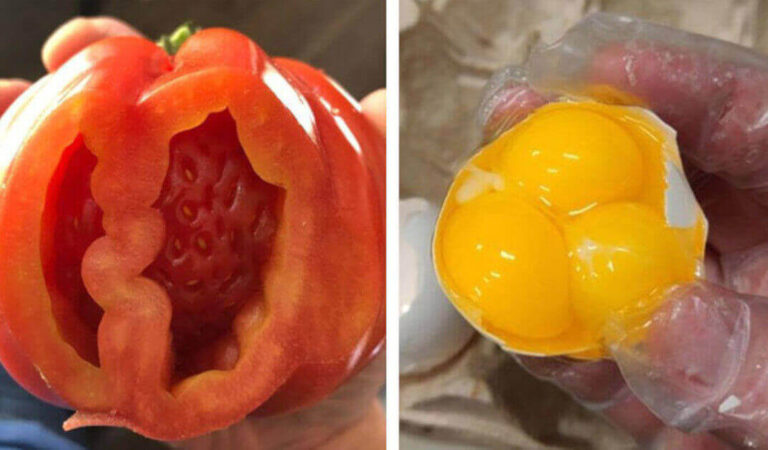 19 Foto di persone rimaste sorprese nel trovare cose nascoste dentro altri oggetti 19 Foto di persone rimaste sorprese nel trovare cose nascoste dentro altri oggetti