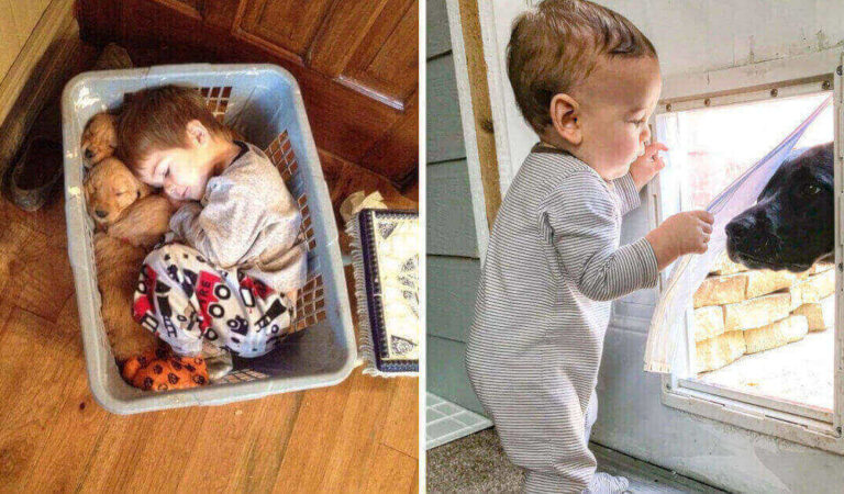 15 foto che dimostrano che l’amicizia tra bambini ed animali è unica 15 foto che dimostrano che l’amicizia tra bambini ed animali è unica