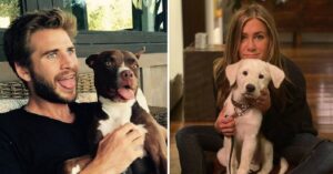 18 celebrità che hanno fatto entrare nella loro vita dei meravigliosi cani e ne sono felici