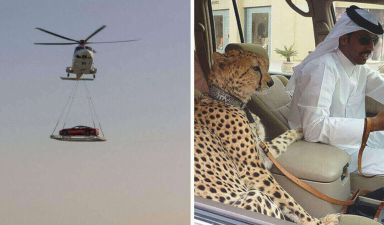 16 cose incredibili possibili solo a Dubai 16 cose incredibili possibili solo a Dubai