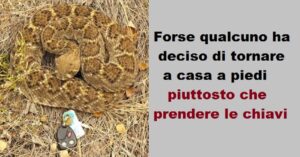 17 foto che fanno sentire fortunati anche i perdenti più sfrenati