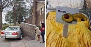 14 Foto di persone che nel fare cose non hanno usato per niente la logica