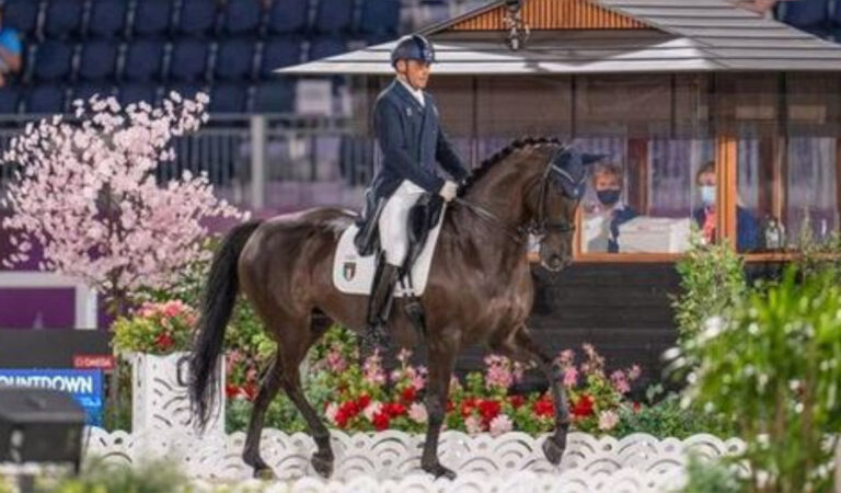 Sapete come i cavalli degli sport equestri delle Olimpiadi hanno viaggiato per giungere a Tokio? Sapete come i cavalli degli sport equestri delle Olimpiadi hanno viaggiato per giungere a Tokio?