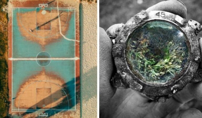 Il tempo è spietato e passa per tutti noi: 15 foto affascinanti di cose che portano i segni di usura del tempo Il tempo è spietato e passa per tutti noi: 15 foto affascinanti di cose che portano i segni di usura del tempo