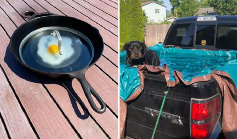 Caldo anomalo: 17 foto che mostrano gli effetti devastanti delle alte temperature in Canada e USA Caldo anomalo: 17 foto che mostrano gli effetti devastanti delle alte temperature in Canada e USA