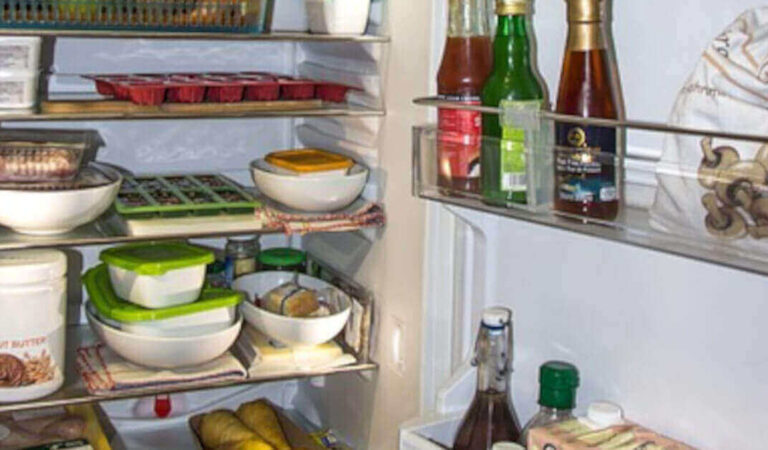 I passaggi da seguire per conservare gli avanzi di cibo in frigorifero e in freezer I passaggi da seguire per conservare gli avanzi di cibo in frigorifero e in freezer