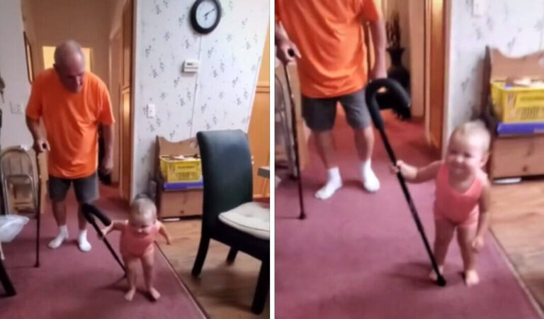 Bambino imita il nonno che cammina con un bastone Bambino imita il nonno che cammina con un bastone