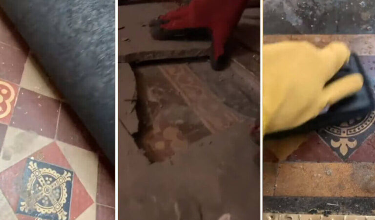 La coppia scopre un lussuoso pavimento in ceramica del 1830 sotto il tappeto La coppia scopre un lussuoso pavimento in ceramica del 1830 sotto il tappeto