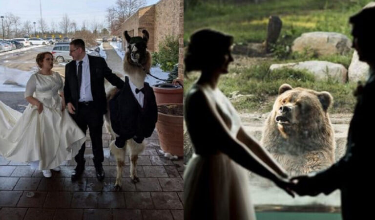 Matrimoni da ricordare: 15 sposi che hanno reso le loro nozze “uniche” Matrimoni da ricordare: 15 sposi che hanno reso le loro nozze “uniche”