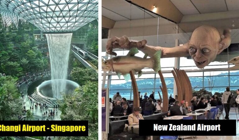20 Soluzioni creative in aeroporti internazionali che rendono il viaggio un’esperienza piacevole 20 Soluzioni creative in aeroporti internazionali che rendono il viaggio un’esperienza piacevole