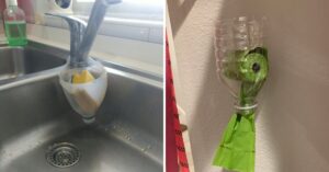 15 modi per riutilizzare le bottiglie di plastica