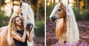 Ragazza condivide le foto con il suo maestoso cavallo sembrano usciti da un mondo magico (10 Foto)