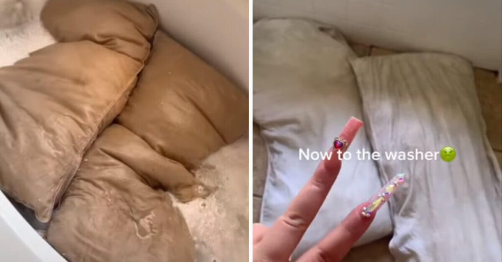 La moglie è inorridita all’idea di lavare i cuscini del marito per la prima volta in 5 anni. Sporco e capelli allo stato puro