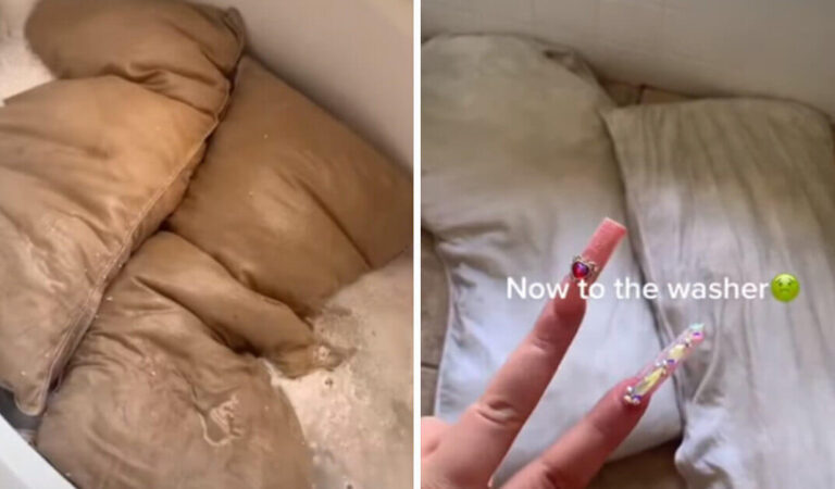 La moglie è inorridita all’idea di lavare i cuscini del marito per la prima volta in 5 anni. Sporco e capelli allo stato puro La moglie è inorridita all’idea di lavare i cuscini del marito per la prima volta in 5 anni. Sporco e capelli allo stato puro