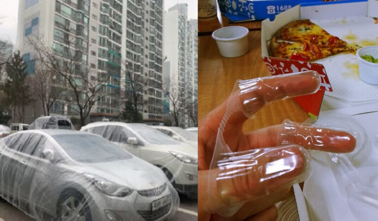 24 foto che mostrano che la Corea del Sud è un paese unico diverso da qualsiasi altro Paese 24 foto che mostrano che la Corea del Sud è un paese unico diverso da qualsiasi altro Paese