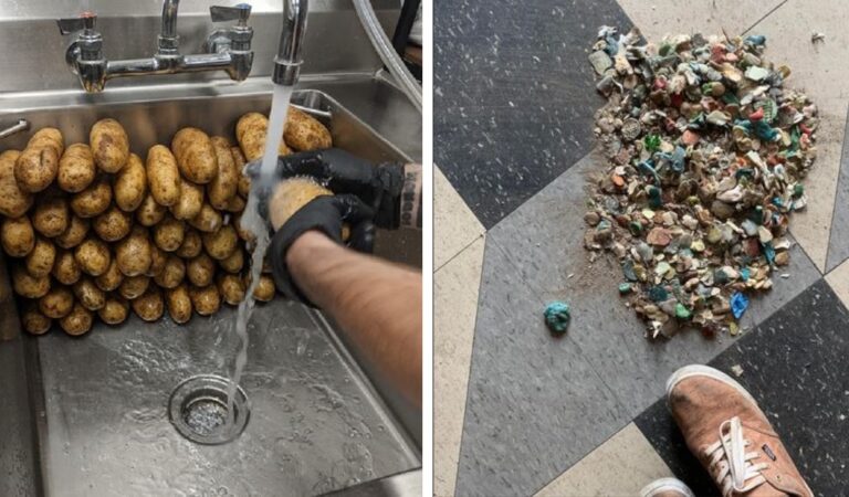 16 cose disastrose o divertenti che possono capitare all’interno della cucina di un ristorante 16 cose disastrose o divertenti che possono capitare all’interno della cucina di un ristorante