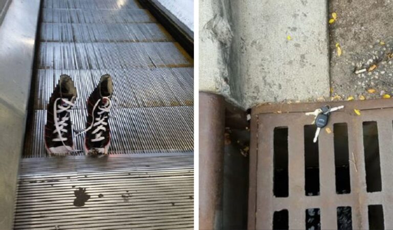 18 foto che hanno fatto battere il cuore a molte persone per diversi motivi 18 foto che hanno fatto battere il cuore a molte persone per diversi motivi