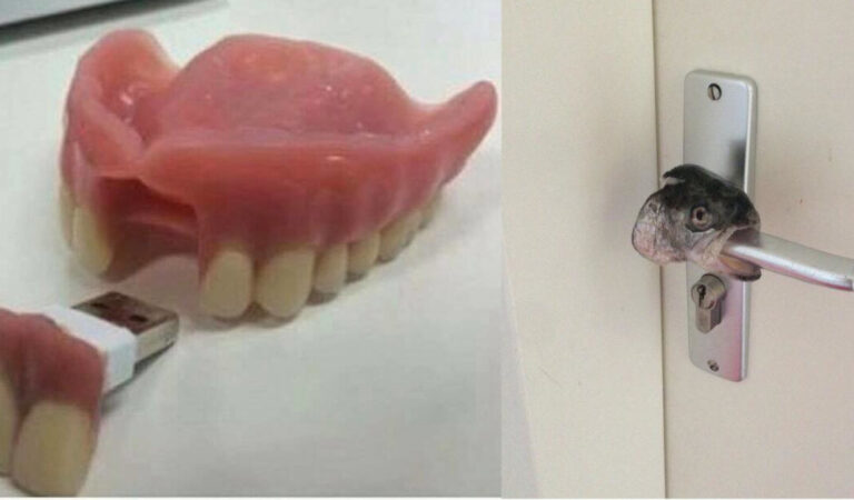 21 immagini che possono causare una reazione di disgusto improvviso 21 immagini che possono causare una reazione di disgusto improvviso
