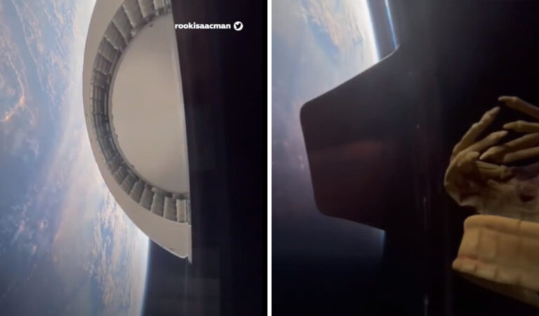 Uno “xenomorfo” di “Alien” ha viaggiato con la missione civile di SpaceX (Video) Uno “xenomorfo” di “Alien” ha viaggiato con la missione civile di SpaceX (Video)