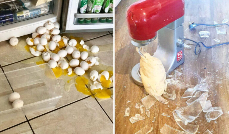 Disavventure culinarie: 17 foto che testimoniano che la cucina può essere un luogo davvero pericoloso. Disavventure culinarie: 17 foto che testimoniano che la cucina può essere un luogo davvero pericoloso.