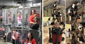 19 volontari che hanno mostrato cosa vuol dire lavorare in un rifugio di animali.