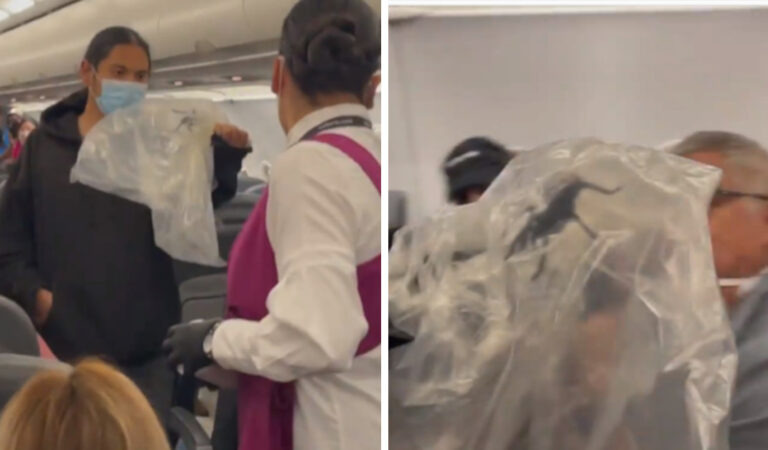 Catturano una tarantola gigante in un aereo in volo pieno di passeggeri