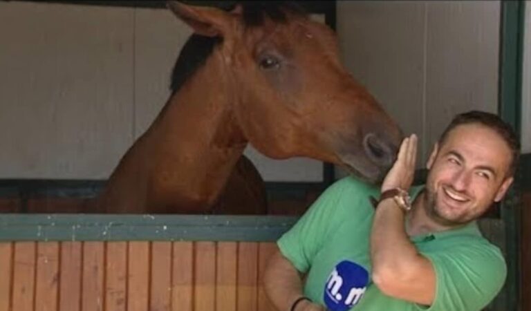 Il giornalista sta registrando un servizio. Ma quello fa il cavallo dietro di lui fa morire dalle risate! Il giornalista sta registrando un servizio. Ma quello fa il cavallo dietro di lui fa morire dalle risate!