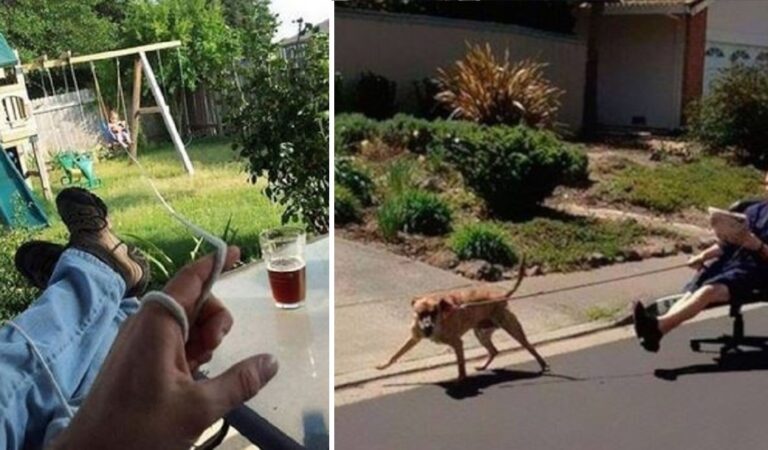 15 Persone pigre che mostrano la loro estreme intraprendenza pur di muoversi il meno possibile 15 Persone pigre che mostrano la loro estreme intraprendenza pur di muoversi il meno possibile
