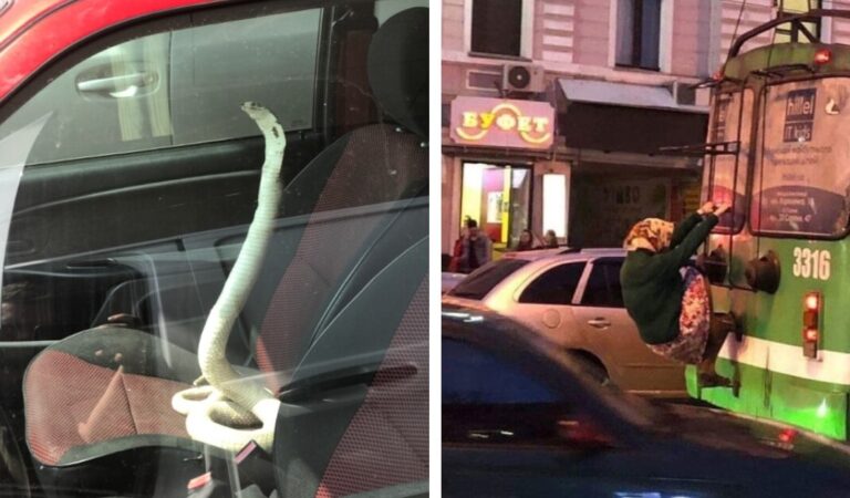 19 cose insolite tra le più strane mai viste per strada 19 cose insolite tra le più strane mai viste per strada