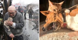 15 Persone che hanno scattato una foto e si sono rese conto di aver creato vere opere d’arte