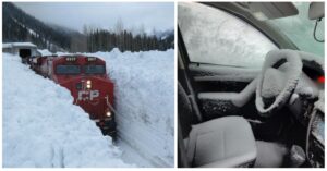 20 foto che provocano dei brividi di freddo solo guardandole