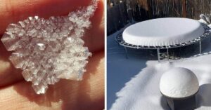 20 Foto per ammirare le opere della neve
