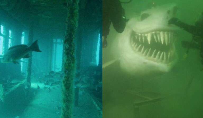 18 tra le cose più bizzarre che siano mai state trovate sott’acqua